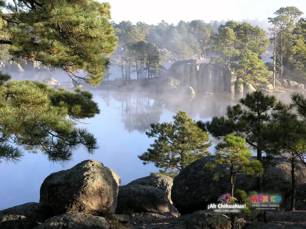 Baja California: Mar y Desierto