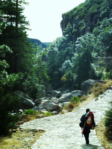 Aventura Escénica en Creel
